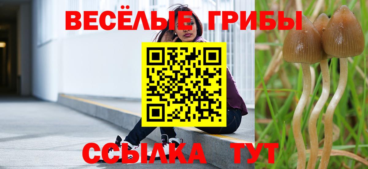 Псилоцибиновые грибы мицелий  Вход с VPN  наркотики  Белебей 